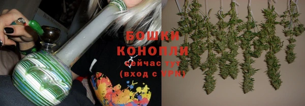 ECSTASY Богородицк
