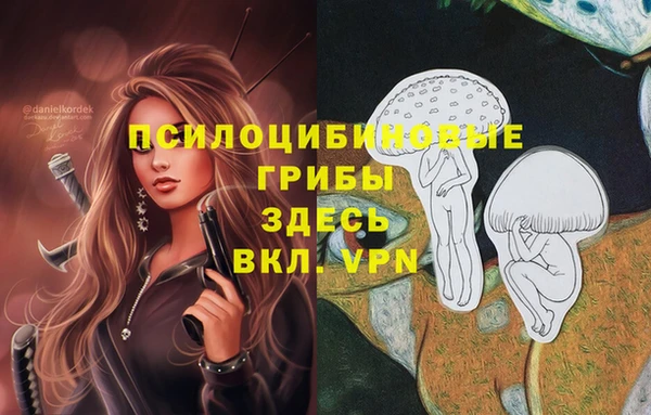 прущие крисы Бородино