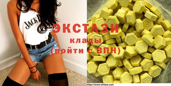 ECSTASY Богородицк