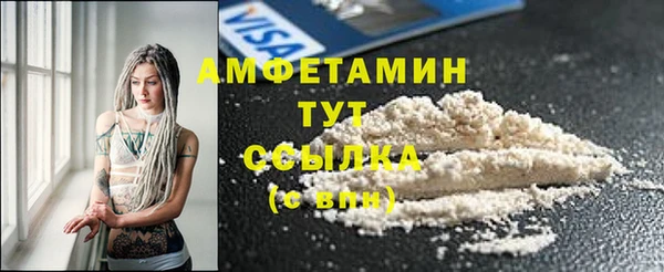сатива Бронницы