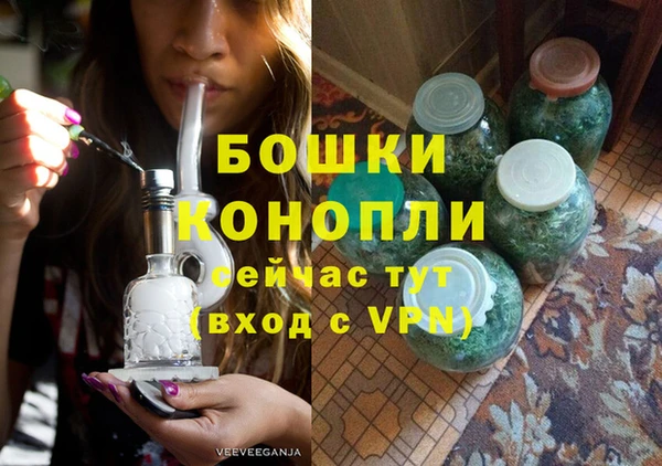 сатива Бронницы