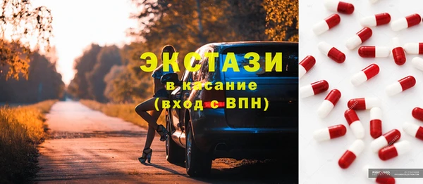 ECSTASY Богородицк
